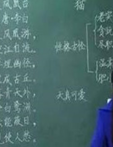全国性人民代表唐海龙：建议加强保护母语 调整中高考母语比重