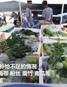 西沙战士在盐碱沙地种出蔬菜，大幅度改进士兵日常生活