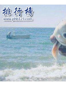 盘点十大奇特动物:长得像蝙蝠的鱼和三眼虾(和恐龙一个时代)你见过吗