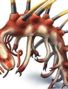 盘点寒武纪十大恐怖生物：奇虾成地球霸主 恐龙是它晚辈，令人震惊！