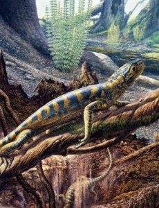 盘点石炭纪十大恐怖生物有哪些 揭晓石炭纪生物大灭绝真相，震惊了吗