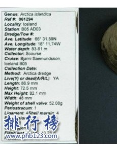 盘点地球五大不死神兽：是谁生命力爆表，有两种能偷DNA