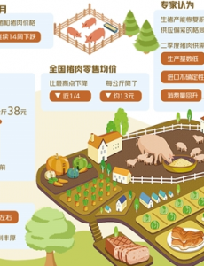 猪肉价格连续下跌，全国猪肉零售均价每公斤下降13元