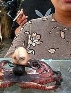 传说中印尼章鱼人是真的吗?人头章鱼竟然发出婴儿啼哭声，让人后怕