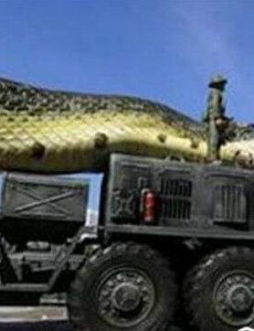 世界上最长的蛇是什么蛇，红海巨蛇长达500米，简直是怪物！