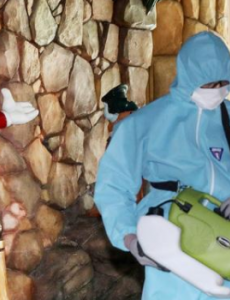 韩国最大室内游乐园发生疫情，6月7日公布停业整顿