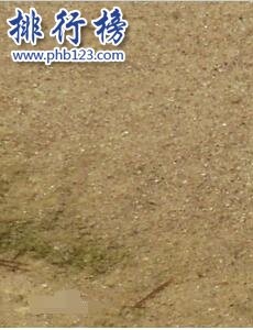 世界上最神奇的鱼有多神奇：沙漠鱼，在沙漠中畅游(只有一滴水也能活)