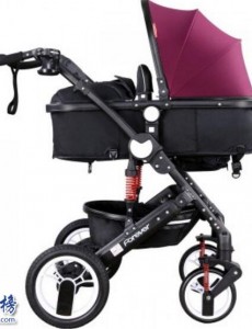 Babytrend单品好评度最高 公认童车排行榜10强排行榜