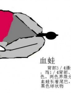 震惊世界上唯一会咬人的青蛙,食人蛙（一切源自于环境污染）引发人们思考