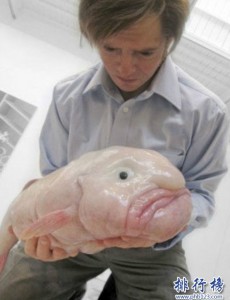 盘点世界上丑的鱼,水滴鱼丑到没朋友(也是全世界表情最忧伤的鱼)到底有多丑