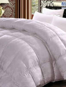 羽绒质量好有哪些品牌？推荐羽绒被10强排行榜