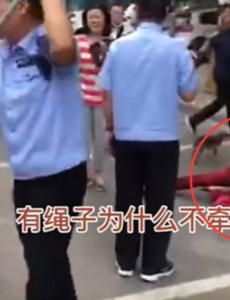 遛狗不拴绳狗被暂扣主人大哭，网友：干的好