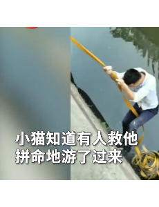 小伙下臭水沟救流浪猫，只用了一根绳子