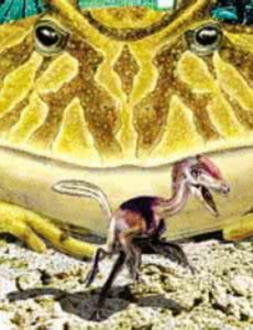 说说史前最恐怖的青蛙，魔鬼蛙竟敢生吃霸王龙不敢相信！