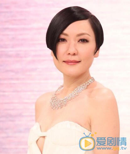 田蕊妮个人资料