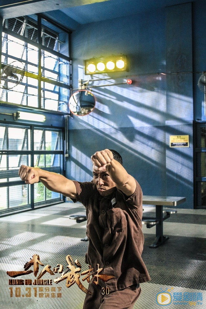 一个人的武林简介 一个人的武林高清海报