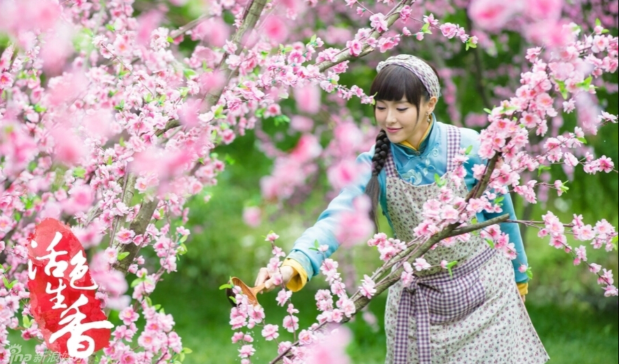 安若欢  《活色生香》安若欢