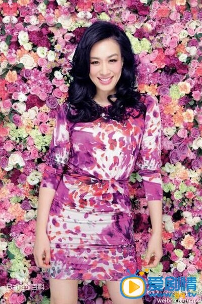 钟丽缇写真 钟丽缇高清写真_钟丽缇高清剧照