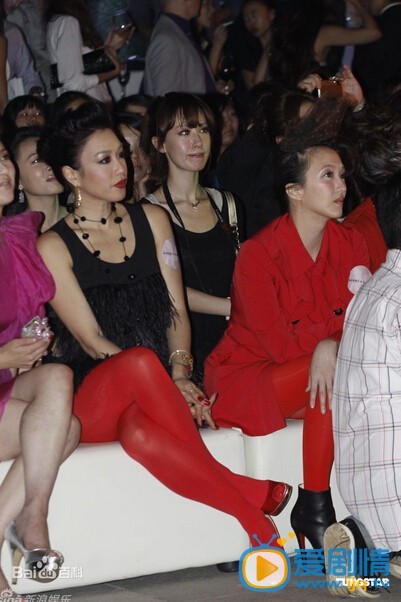 钟丽缇活动照 钟丽缇高清写真_钟丽缇高清剧照