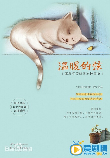 温暖的弦剧照