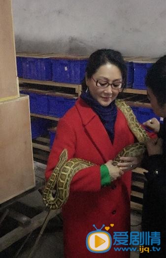 王姬生活照 王姬生活照