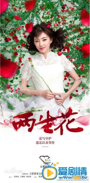 两生花剧情介绍 两生花高清海报