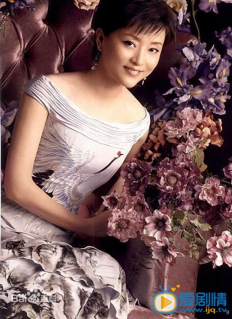 杨澜写真 写真