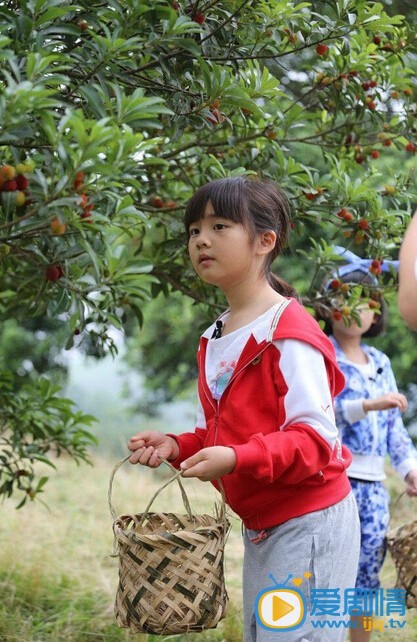 多多爸爸去哪儿 爸爸去哪儿