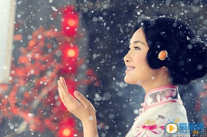 刘一祯古典风写真