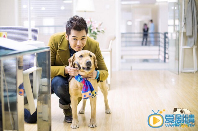 神犬小七剧照