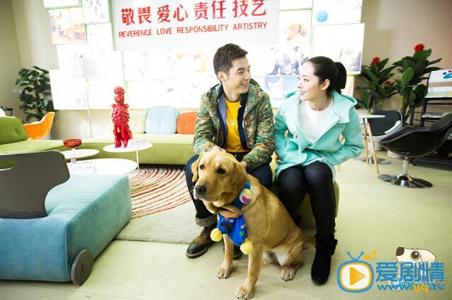 神犬小七剧照
