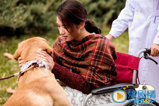 神犬小七吕一丹剧照 神犬小七吕一丹剧照