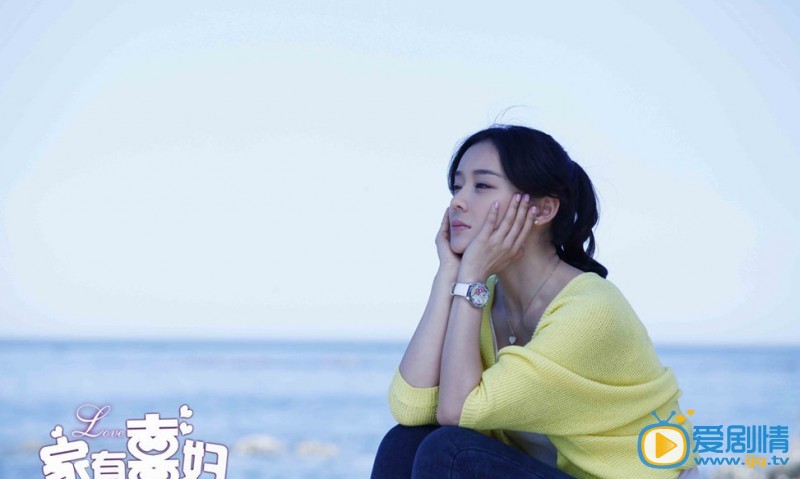 家有喜妇倪好剧照 剧照