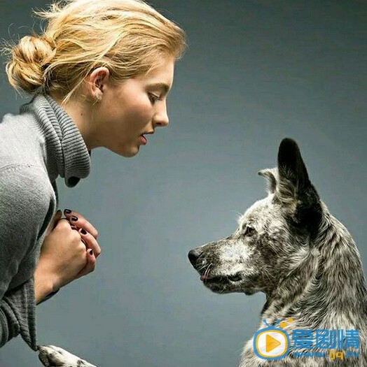 薇洛西尔德斯写真 薇洛西尔德斯高清写真_薇洛西尔德斯高清剧照
