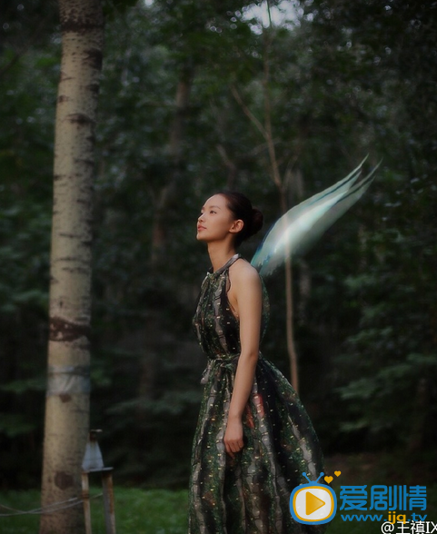 王禛写真 王禛高清写真_王禛高清剧照