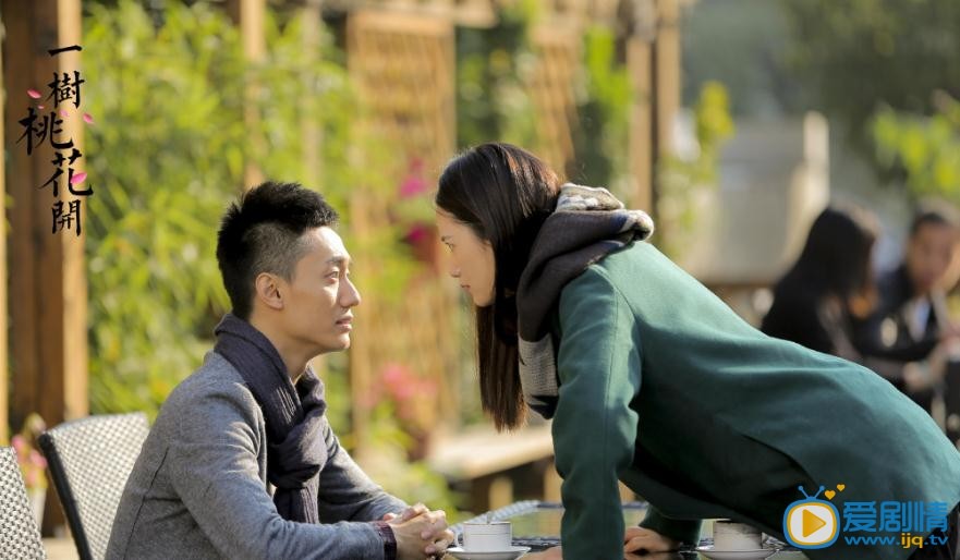 一树桃花开剧情介绍(1-42集大结局)
