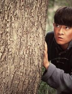 大秧歌热播 杨志刚飞檐走壁抒写新篇章