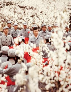 大秧歌英子有没有被荣七糟蹋强奸？大秧歌英子死了没？