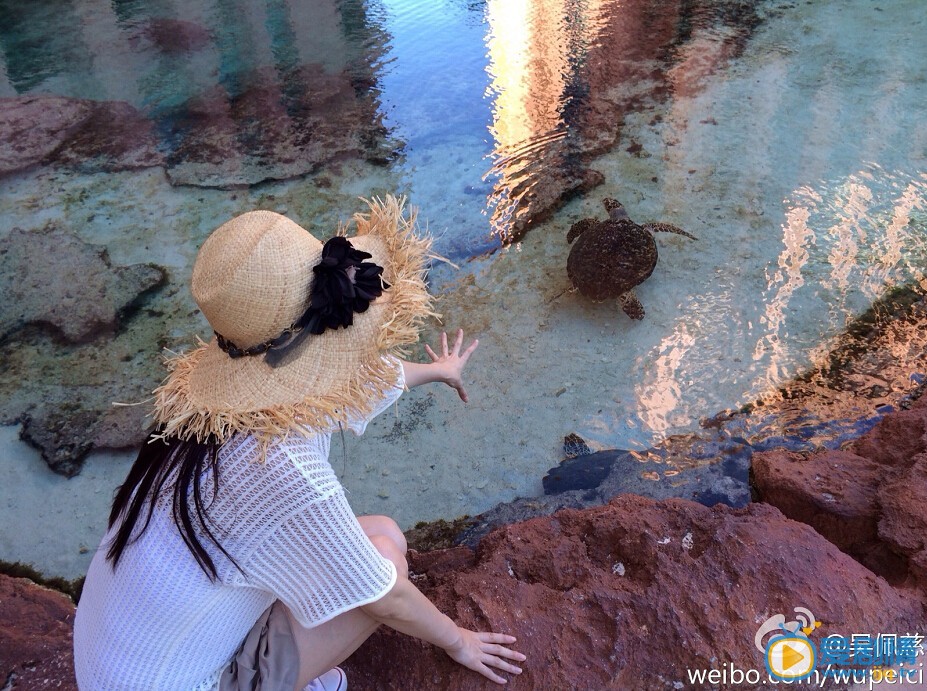 吴佩慈杂志写真 吴佩慈高清写真_吴佩慈高清剧照