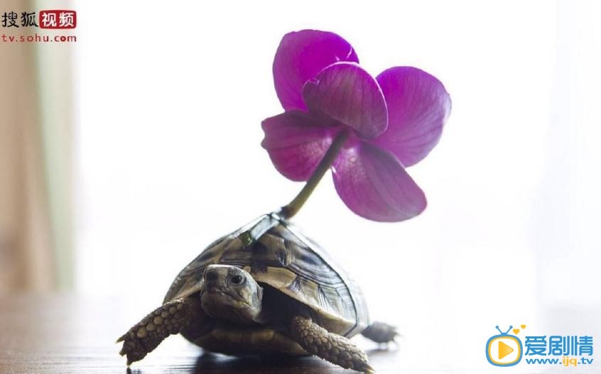 他来了请闭眼剧照