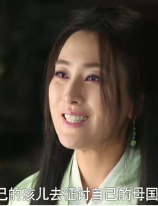 芈月传魏琰历史原型是什么？解析芈月传魏琰历史上居然是个男的？