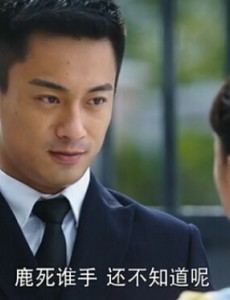 戴流苏耳环的少女林峰死了吗 林峰的结局是什么