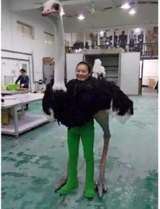 冯小刚电影《老炮儿》中的鸵鸟是真鸵鸟还是人扮演的鸵鸟？