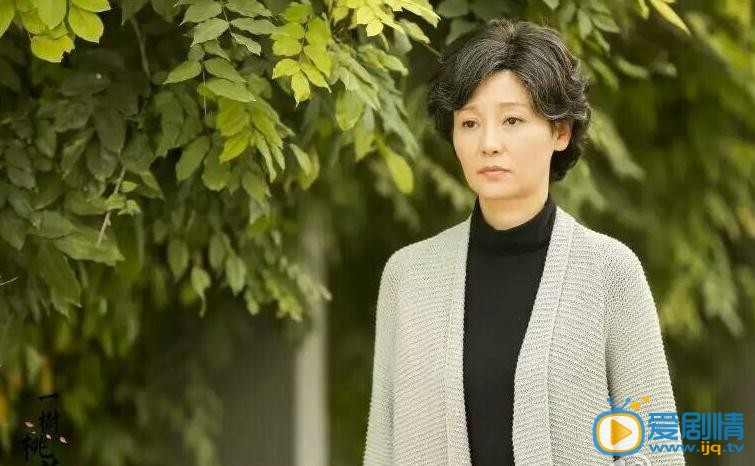 一树桃花开郑婉颐剧照 