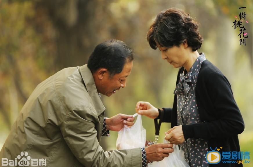 一树桃花开郑婉颐剧照 