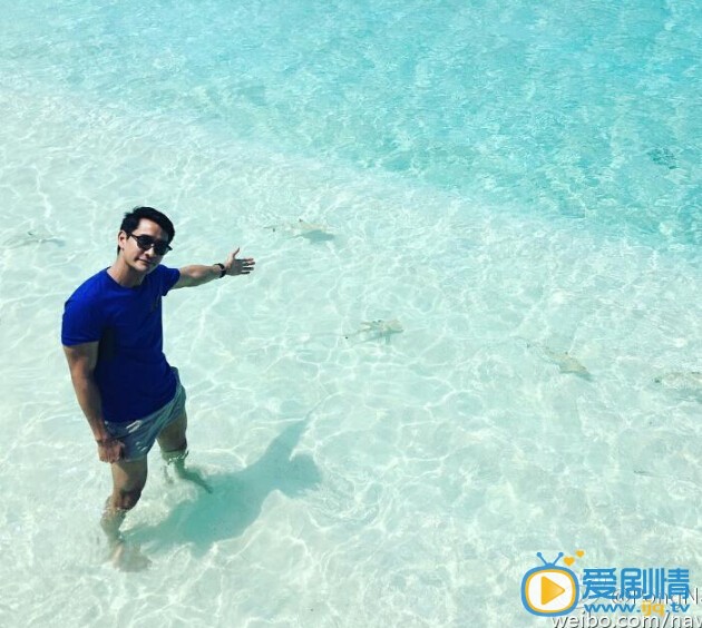 Pong个人写真 pong个人资料简介pong个人写真pong个人介绍