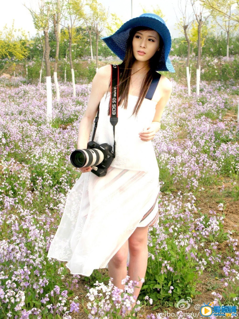 龙一一写真 龙一一高清写真_龙一一高清剧照