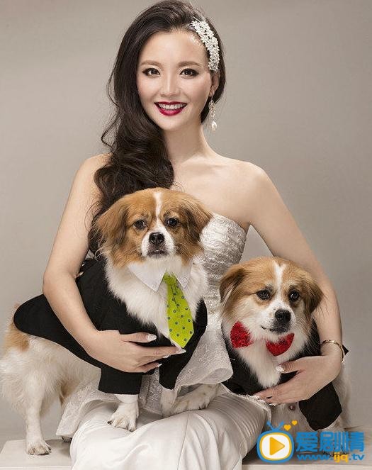 孙茜宠物写真 她是甄嬛传中的槿汐姑姑，她是芈月传中的向夫人，她更是救助了无数流浪宠物的爱心人士，她就是孙茜。近日，孙茜做客《我是玩家》，讲述她与小动物们的故事。