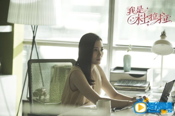 我是杜拉拉剧照