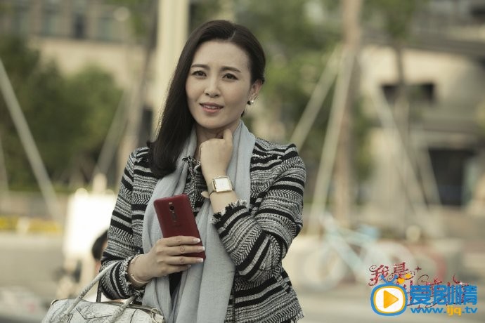 我是杜拉拉剧照